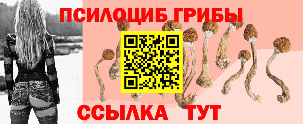 Псилоцибиновые грибы прущие грибы Пугачёв